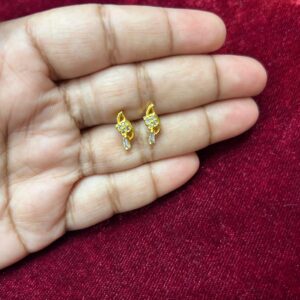 PAKHI PASHA 0027