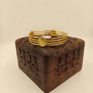 gini bangle