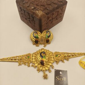 Mayur chokher0019