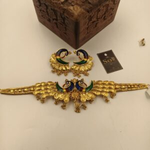 mayur chokher 0017