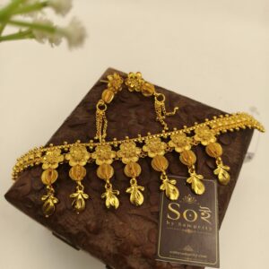 Jhalor chokher