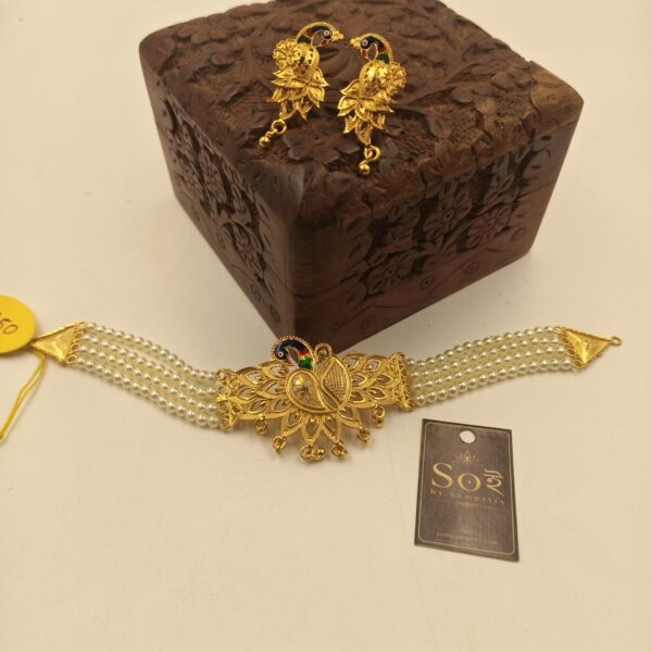 chokher 0010