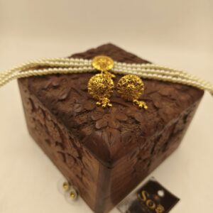 small pasha chokher